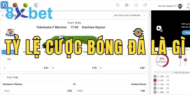 Tỷ lệ cược bóng đá là gì? Tìm hiểu chi tiết về tỷ lệ kèo cược Hiểu đúng tỷ lệ cược bóng đá là gì