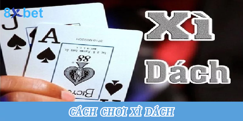 Tổng hợp cách chơi xì dách tại nhà cái 8xbet thắng lớn nhất cách chơi xì dách