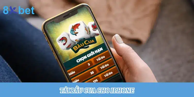 Hướng dẫn tải Bầu Cua cho iPhone, thành công chỉ trong 3 phút Tải Bầu Cua cho iPhone